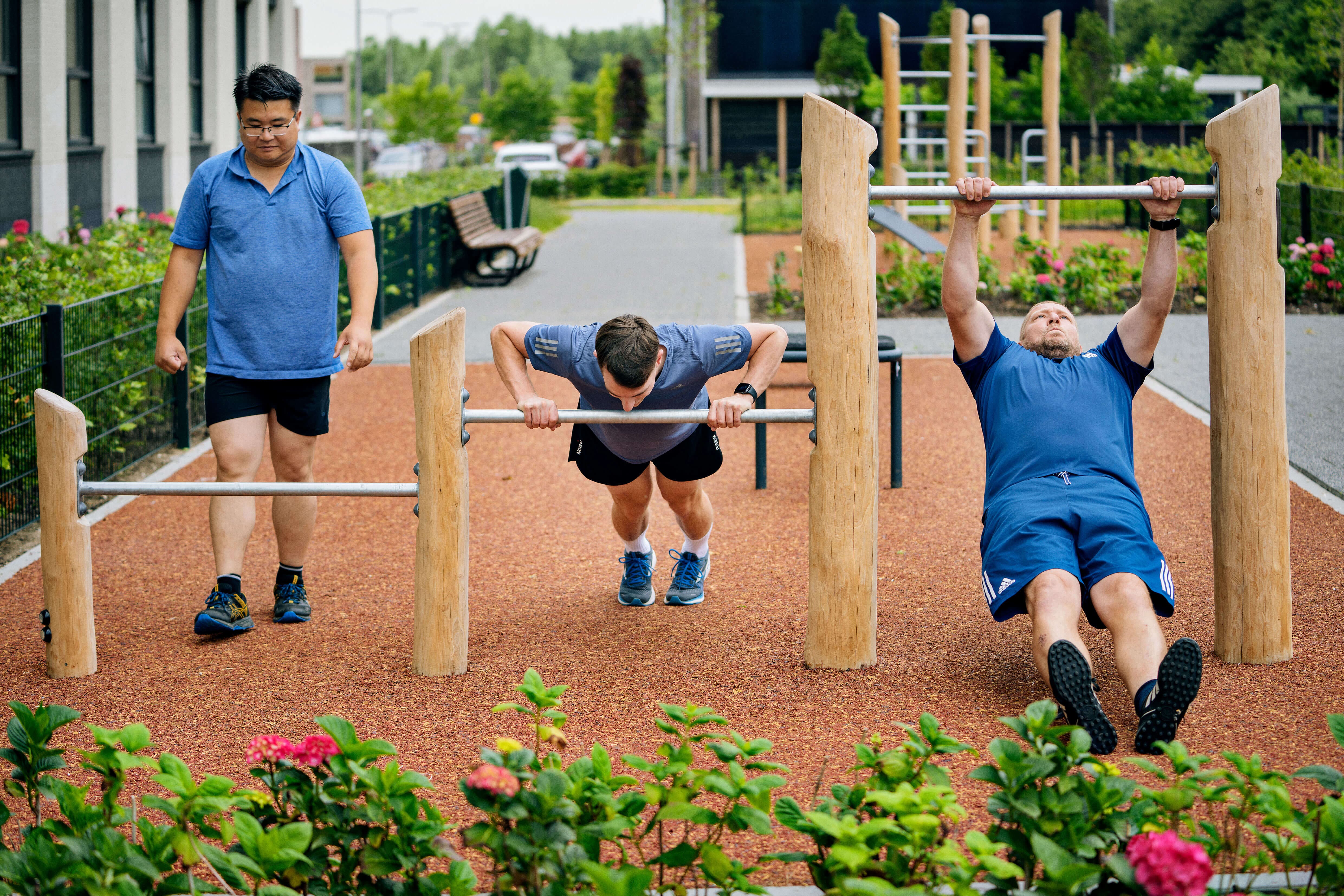 Push Up Bars Robinia