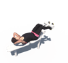 Obrázky aktivit