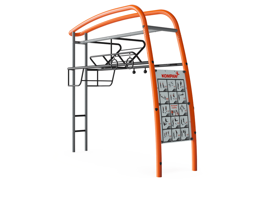Pull Up Bars Pro