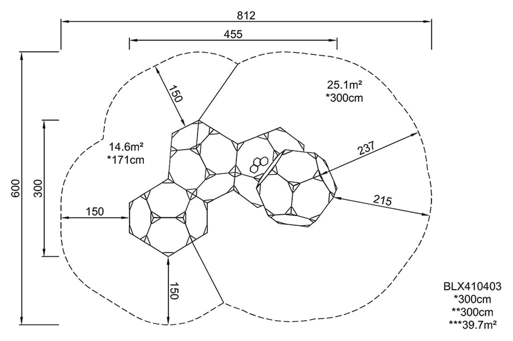 Foot Print (afbeelding)