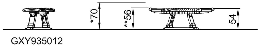 Seitenansicht (Bild)