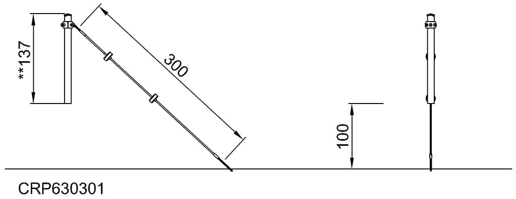 Seitenansicht (Bild)