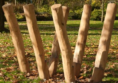 NRO_Robinia Wood