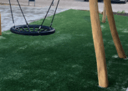 General_Birds nest