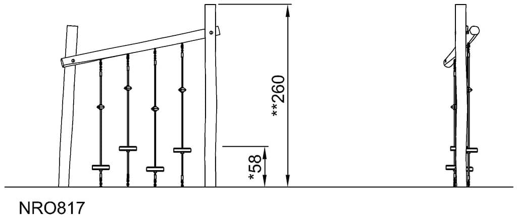 Seitenansicht (Bild)