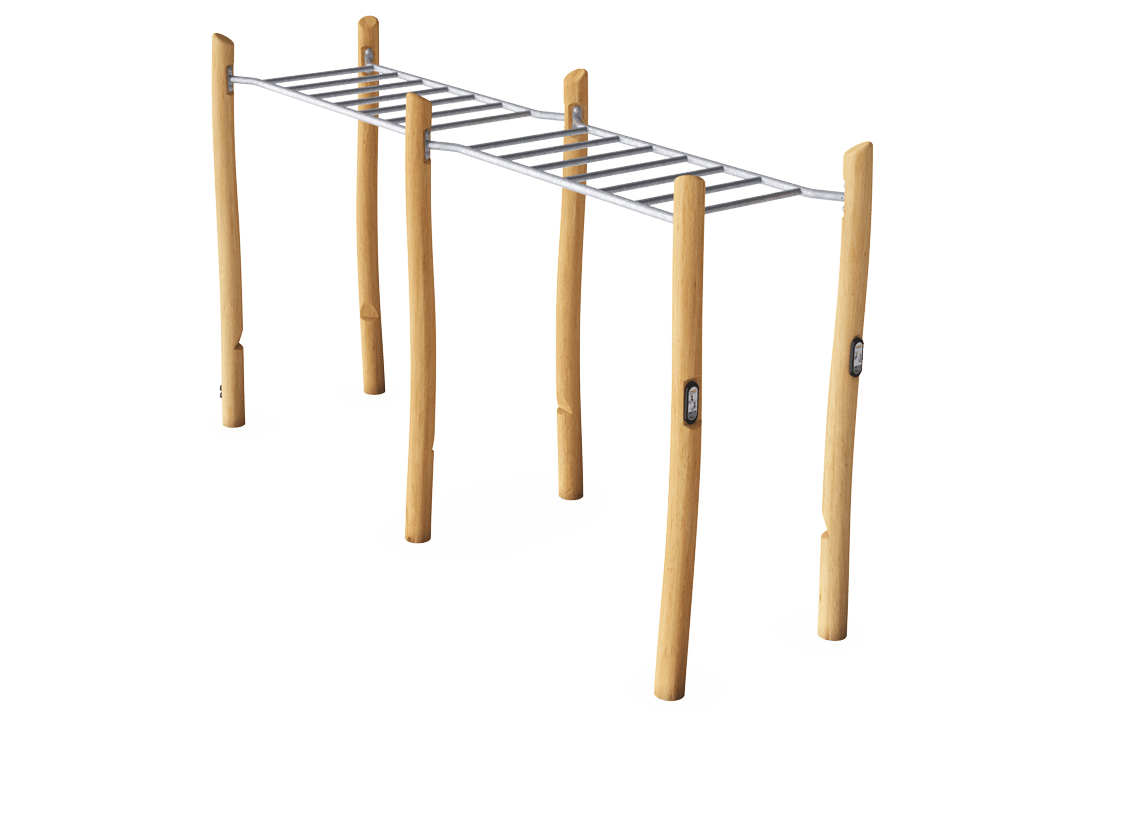 Double Overhead Ladder Robinia
