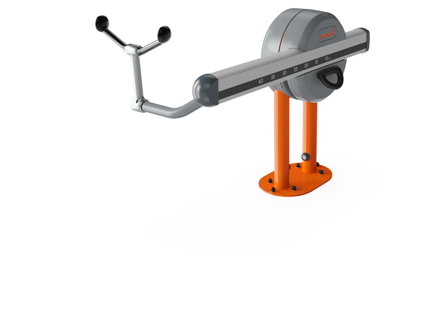 Biceps Curl