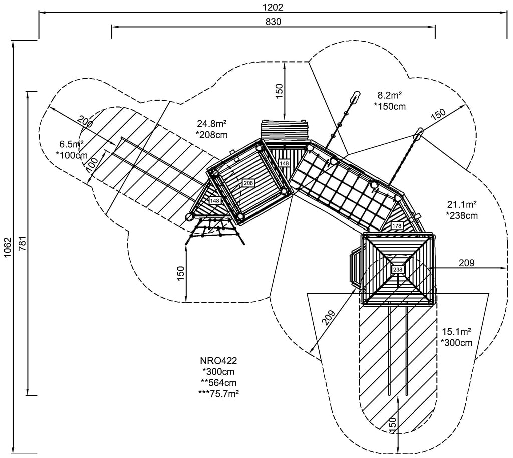 Foot Print (image)