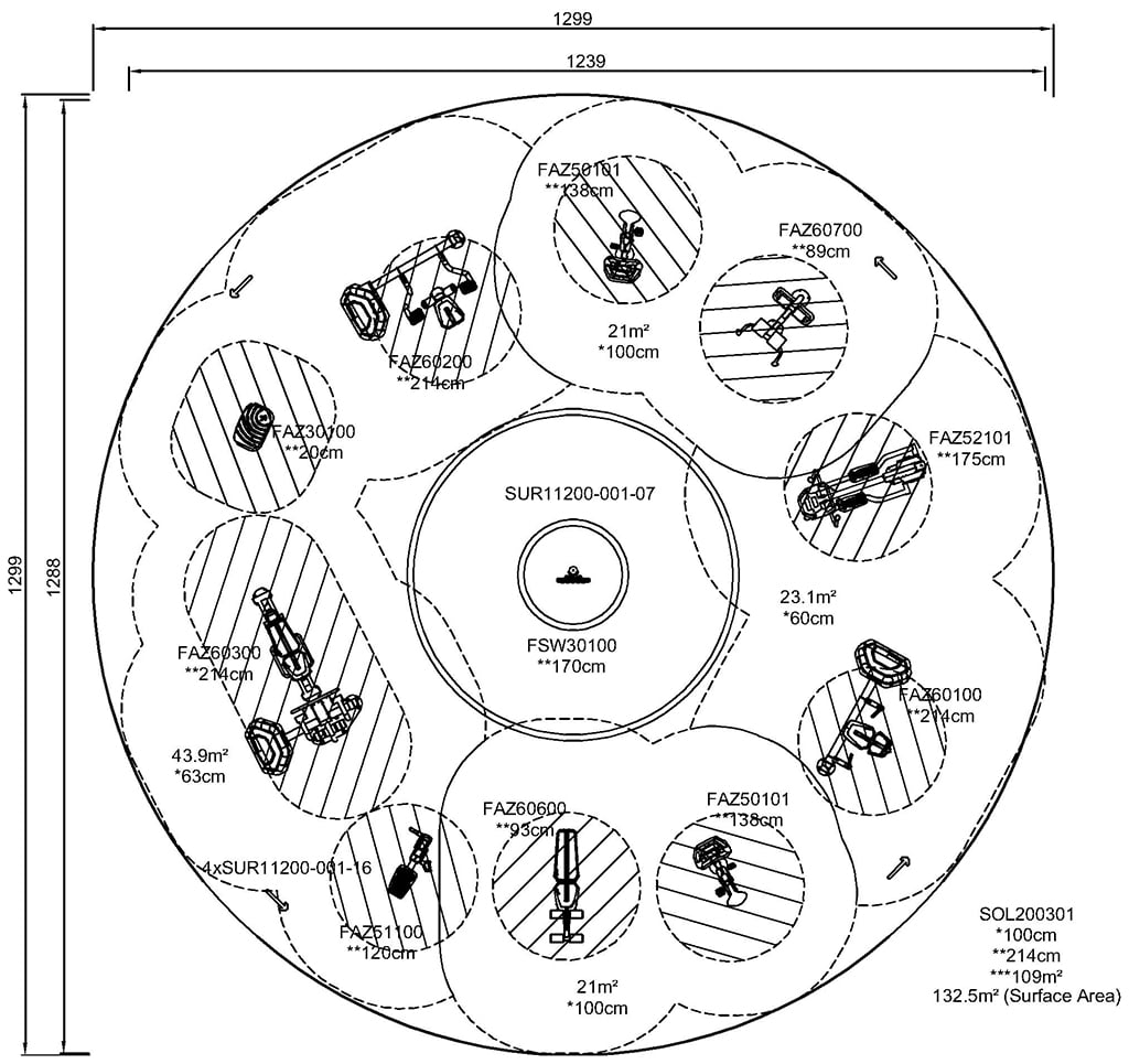 Foot Print (image)