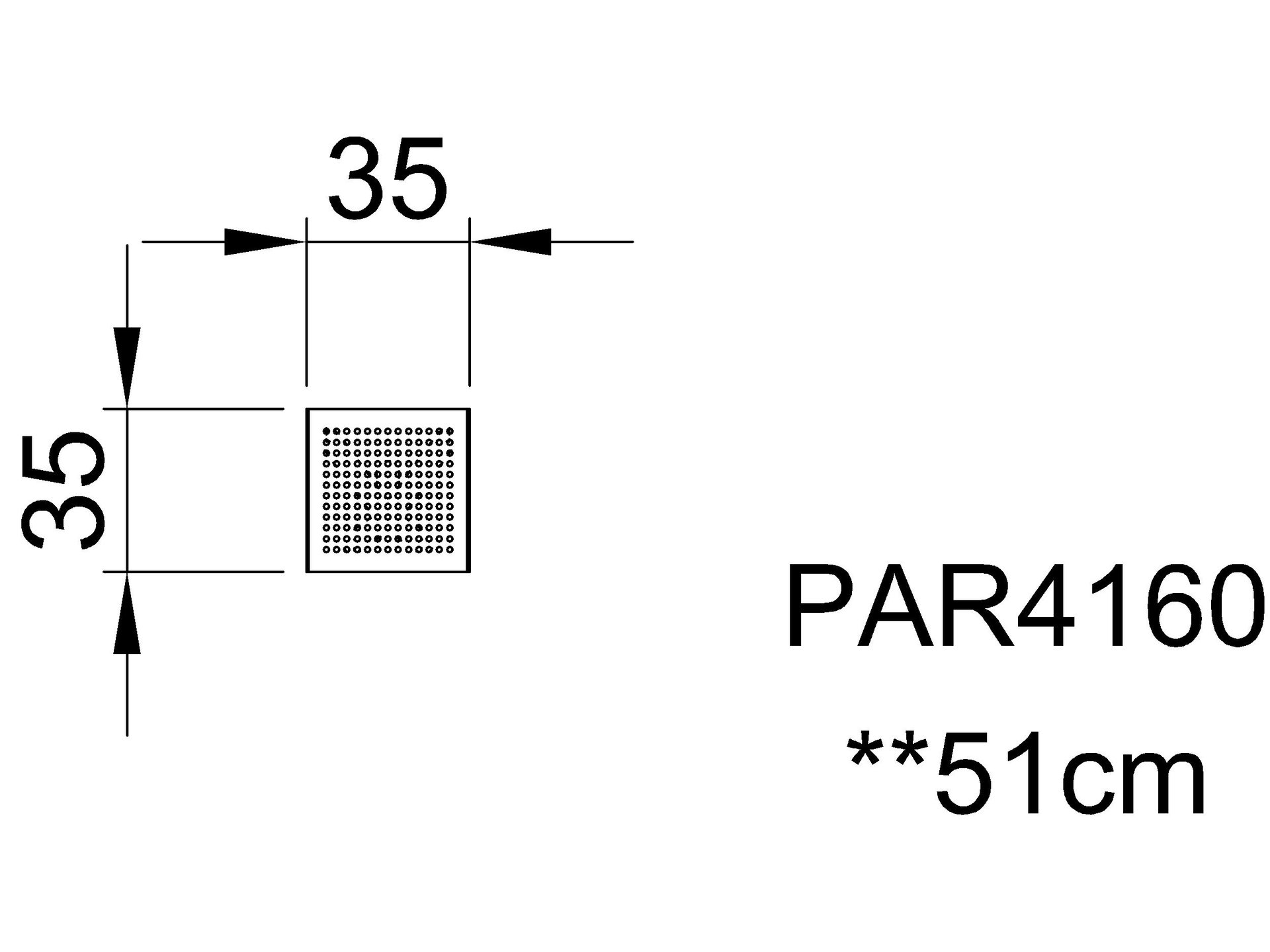 Piante (immagini)