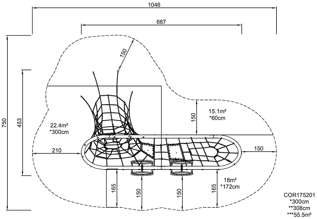 Foot Print (image)