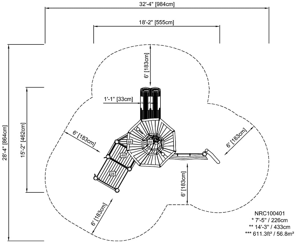 Foot Print (image)