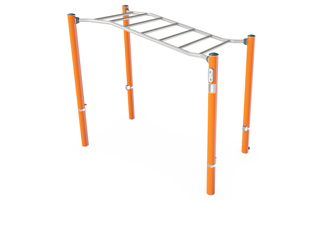 Overhead Ladder